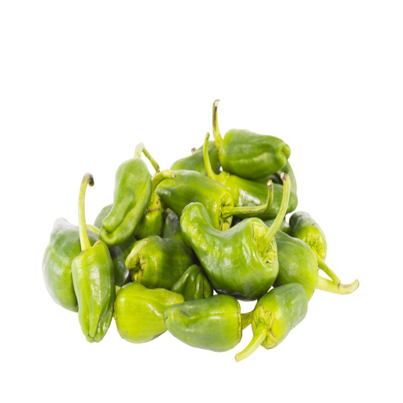 PIMIENTO PADRON GRANEL X KG