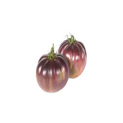 TOMATE AZUL X KG