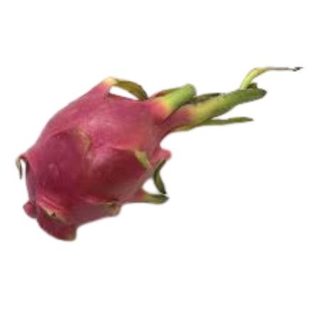 PITAHAYA ROJA PVP.X. PIEZA.