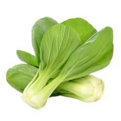 PAK CHOY (COL-CHINA) X KG