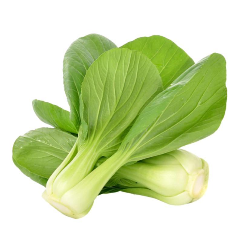 PAK CHOY (COL-CHINA) X KG
