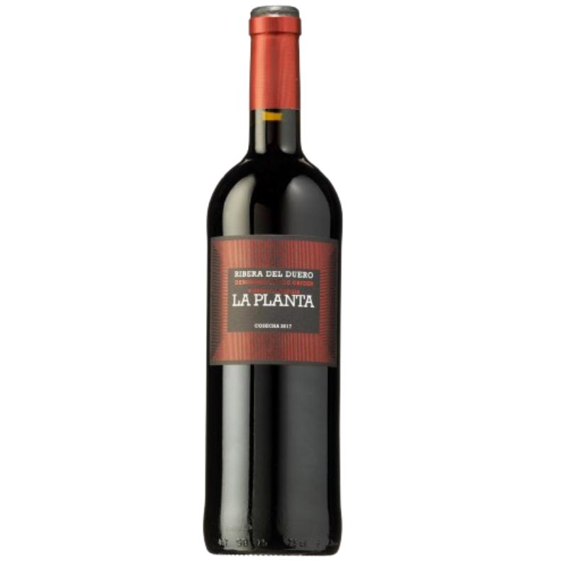 VINO ARZUAGA R/D.LA PLANTA COSECHA  BOT/75.CL.