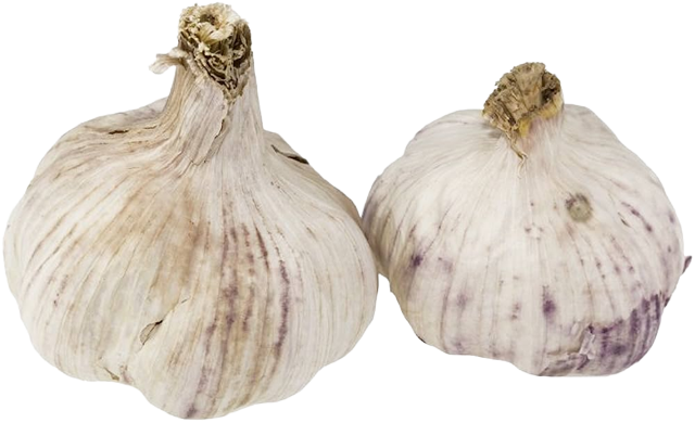 AJO JUMBO CABEZAS X KG