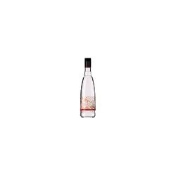 LICOR S/A MELOCOTON S/EXTREMEÑO BOTELLA 70 CL