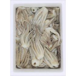 REJO POTON 1-2 KG.  RABADE BANDEJA KG
