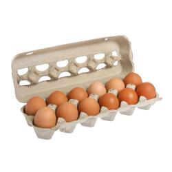 HUEVOS CASCARA ROJO "XL" ESTUCHE 12 UD
