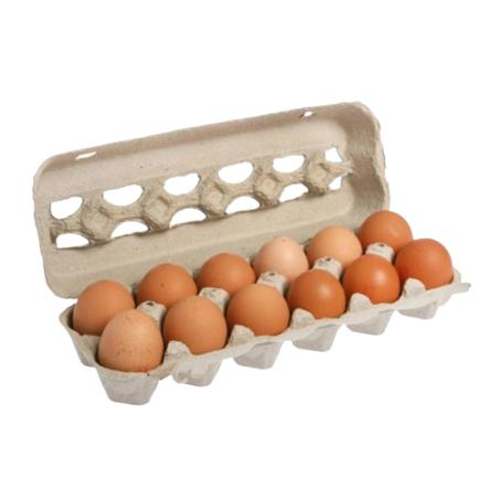 HUEVOS CASCARA ROJO "XL" ESTUCHE 12 UD