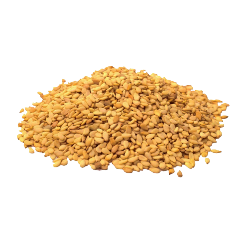 AJONJOLI GRANO DORADO CONSTANCIA B/PEQ 28GR
