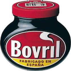SALSA BOVRIL CARNE KNORR TARRO CRISTAL 500 GR