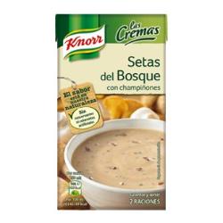CREMA KNORR SETAS DEL BOSQUE BRICK 500 ML