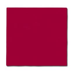 SERVILLETA 20X20 2.PLIS BURDEOS TISSUE/D.C P/100UD