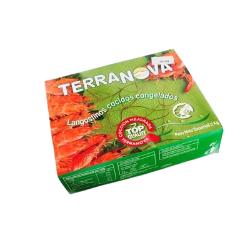 LANGOSTINO COCIDO 45/55 TERRANOVA ESTUCHE 2 KG.