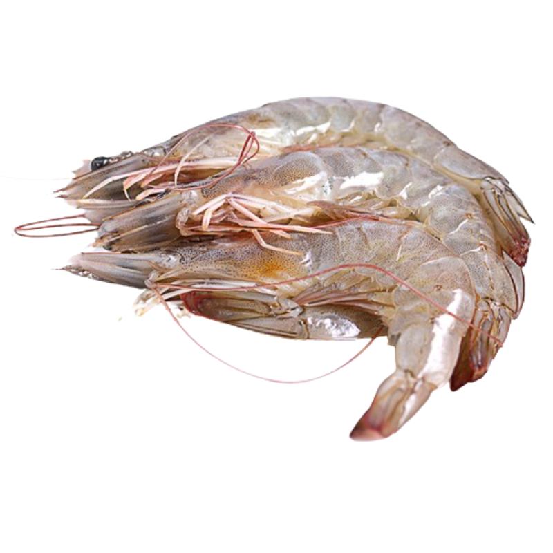 LANGOSTINO CRUDO 21/28 CORAL EST/750GR NETO