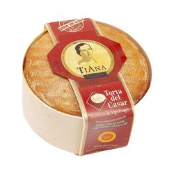 QUESO TORTA CASAR D.O TIANA GRANDE X KG.