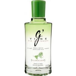 GINEBRA GVINE FLORAISON 40º  BOTELLA 70 CL