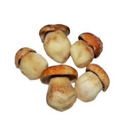 BOLETU EDULI CONGELADO EXTRA PEQUEÑO  J/M B/2 KG