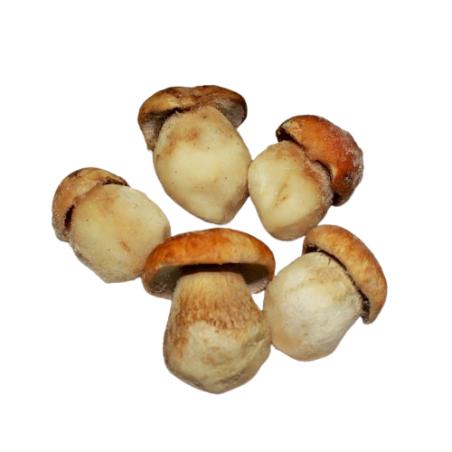BOLETU EDULI CONGELADO EXTRA PEQUEÑO  J/M B/2 KG