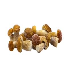 BOLETU EDULI CONG.AEREUS 1º J.M.BOLSA.1.KG