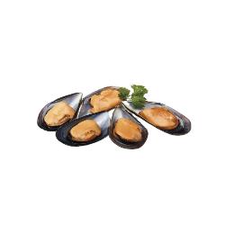 MEJILLON CONG.1/2 CONCHA 60-90 BATEAMAR B/900GR