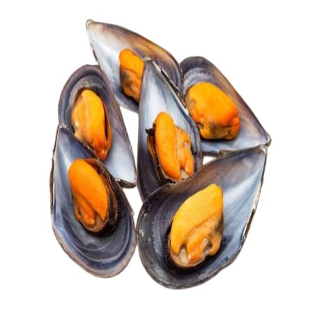 MEJILLON CONG.1/2 CONCHA SUPER40/60 BATEAM B/450GR