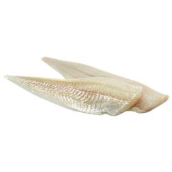 BACALAO PROVE/SANTY FILETE.BROSMIO 10/20. X.KG.