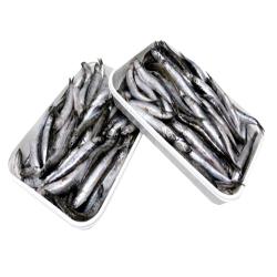 BOQUERON CONGELADOS "G/M"  DELFIN BANDEJA 800GR