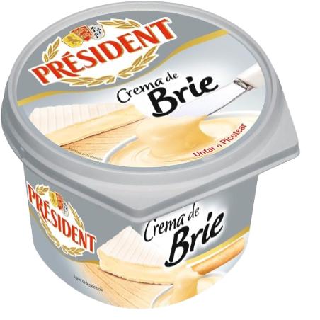 QUESO CREMA BRIE PRESIDENT TARRINA/125.GR