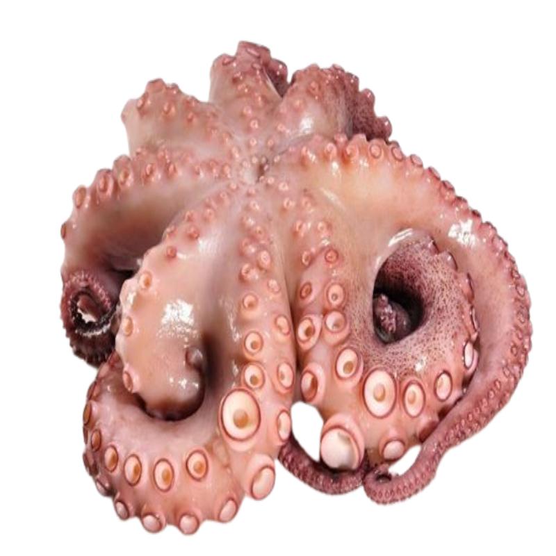 PULPO CRUDO GRAROLHAO OJO (+5,5 KG.) BANDEJA KG.