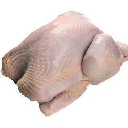 PAVO - PAVITA FRESCA  PVP X . KG.