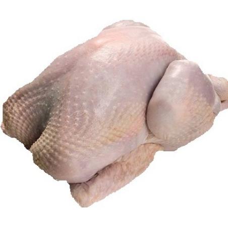 PAVO - PAVITA FRESCA  PVP X . KG.