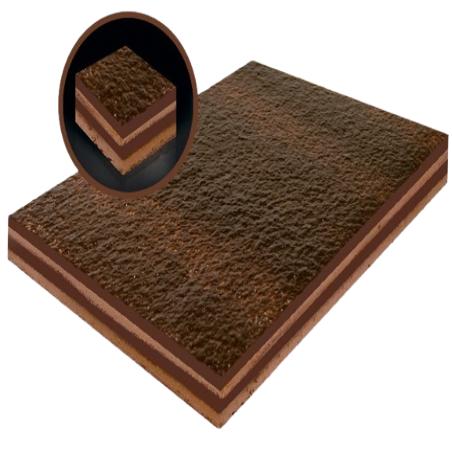 TARTA HELADA CASTY PLANCHA SELVA NEGRA 30 PORC.  