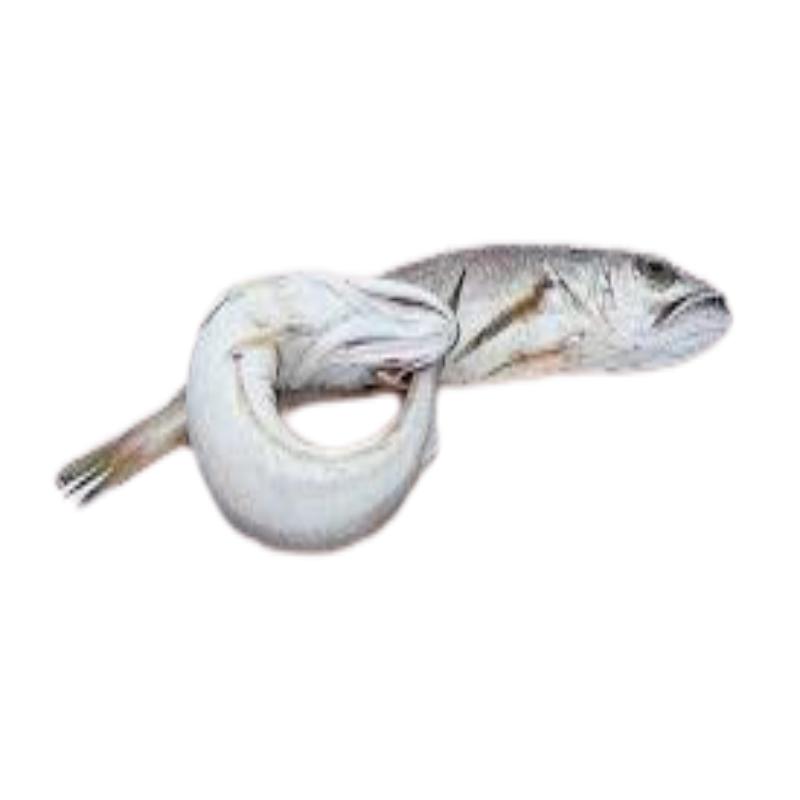 PIJOTA  FINA-NACIONAL FRESCA PVP.X.KG