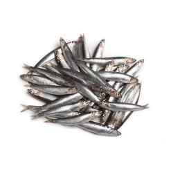 BOQUERON-BOCARTE.ANCHOA FRESCO PVP.X.KG