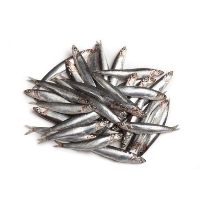 BOQUERON-BOCARTE.ANCHOA FRESCO PVP.X.KG