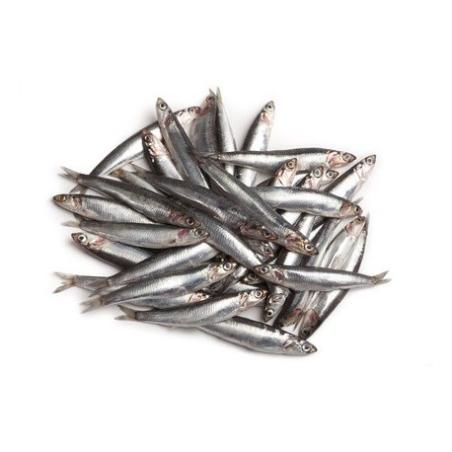 BOQUERON-BOCARTE.ANCHOA FRESCO PVP.X.KG