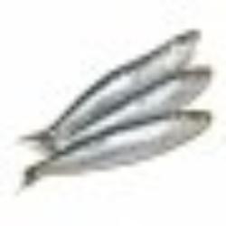 SARDINAS NORTE REFRG. PVP.X.KG
