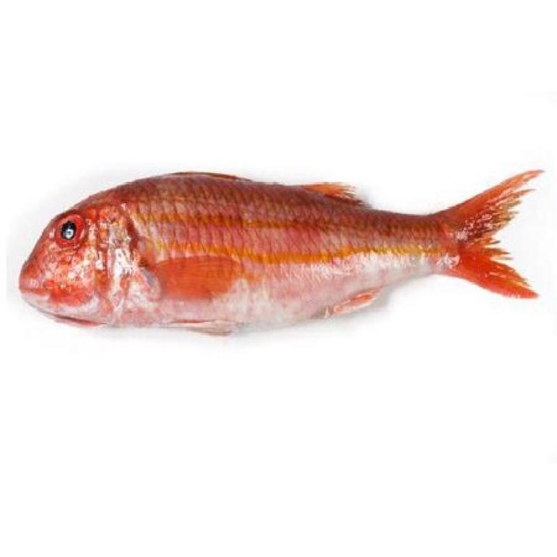 SALMONETES  FRESCO.X.KG.