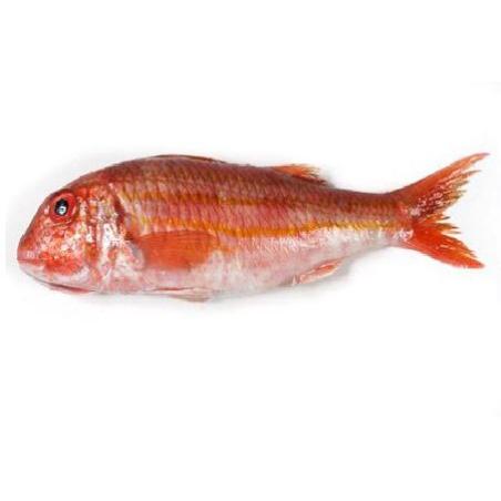 SALMONETES  FRESCO.X.KG.