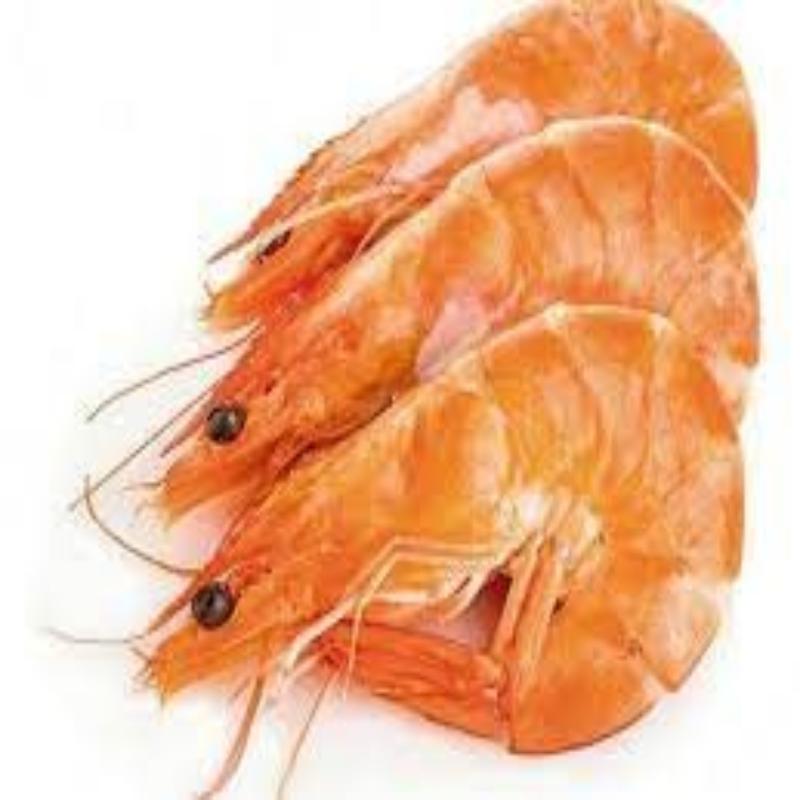 LANGOSTINO COCIDO 45/55.TERRA.PVP.X KG.