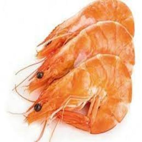 LANGOSTINO COCIDO 45/55.TERRA.PVP.X KG.