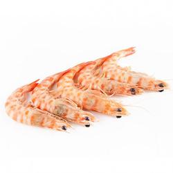 LANGOSTINO TIGRE CRUDO.30/40 DELFIN X.KG