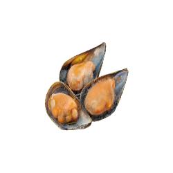 MEJILLON COCIDO CONCHA BARLOMAR B/1.KG