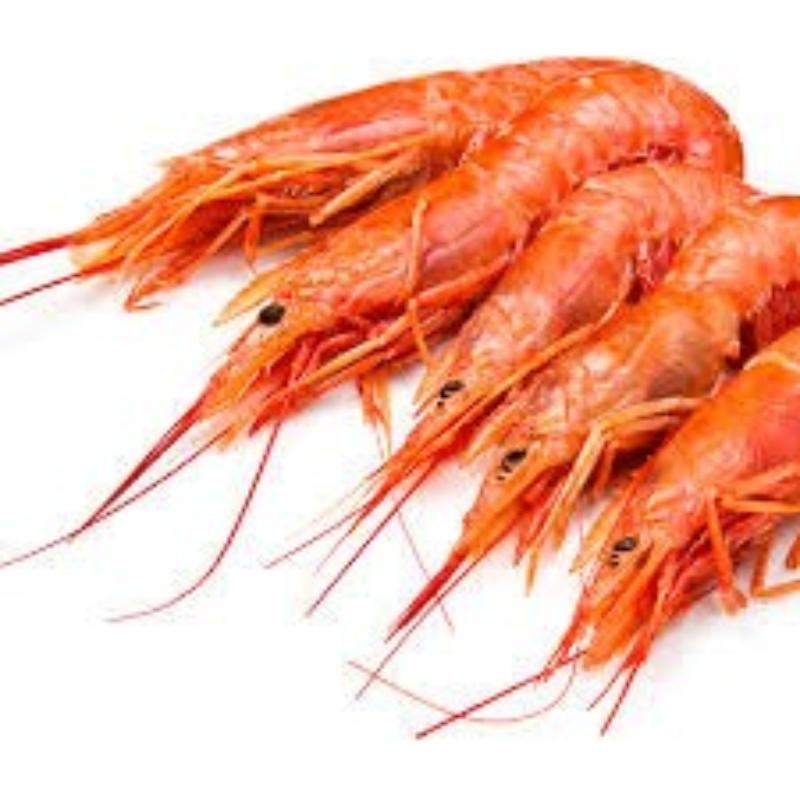 GAMBA BLANCA COCIDA 80/90.SERP.X. KG