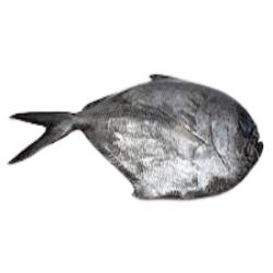 PALOMETA  FRESCA. PVP.X.KG.