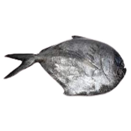 PALOMETA  FRESCA. PVP.X.KG.