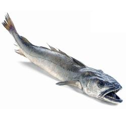 MERLUZA VOLANTA.3-6.KG.PVP.X.KG
