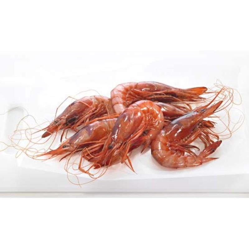 GAMBA BLANCA CRUDA.101/120 TERRA.PVP.X.KG