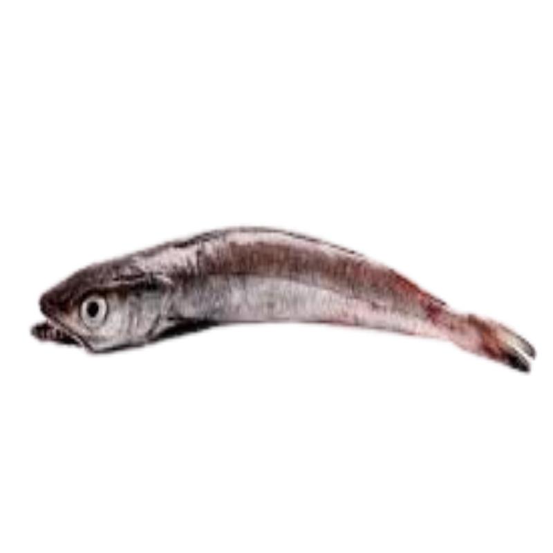 PESCADILLA NORTE-ABIERTA. FRESCA X.KG