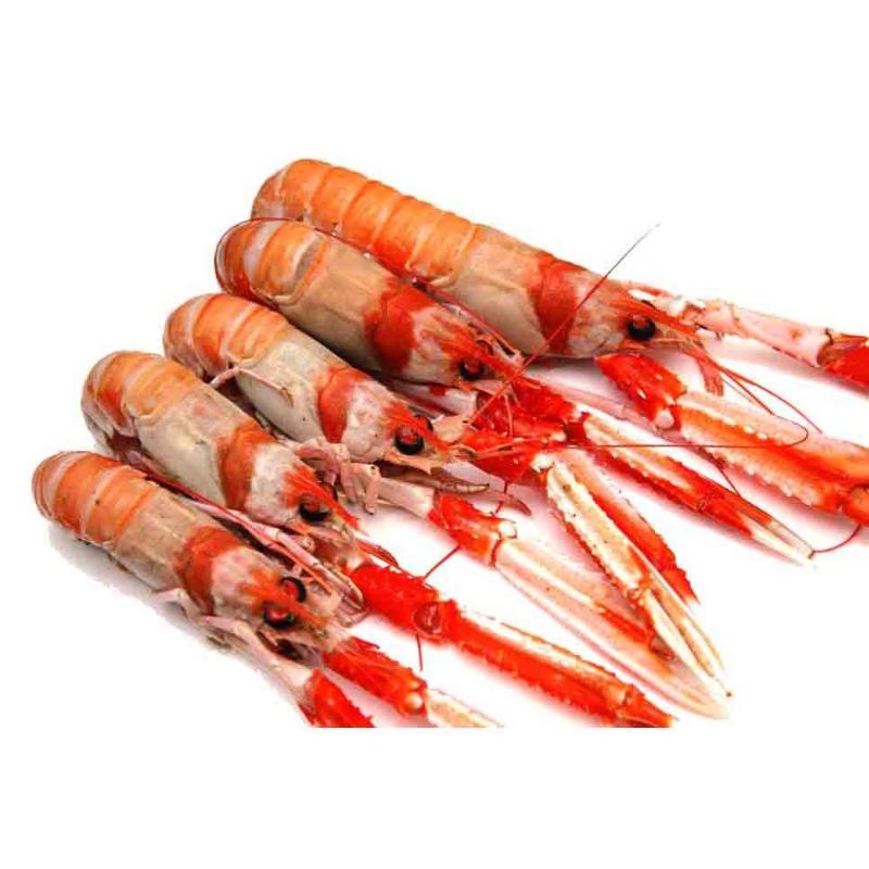 CIGALAS CRUDA 00  3-7.CONG. PVP. X KG
