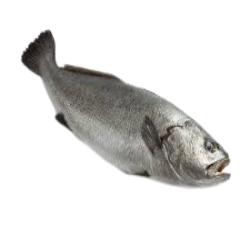 FOGONERO-CORVINA-AL CORTE KG